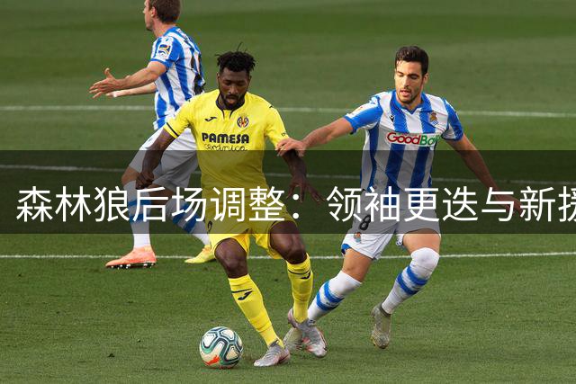 森林狼后场调整：领袖更迭与新援融入